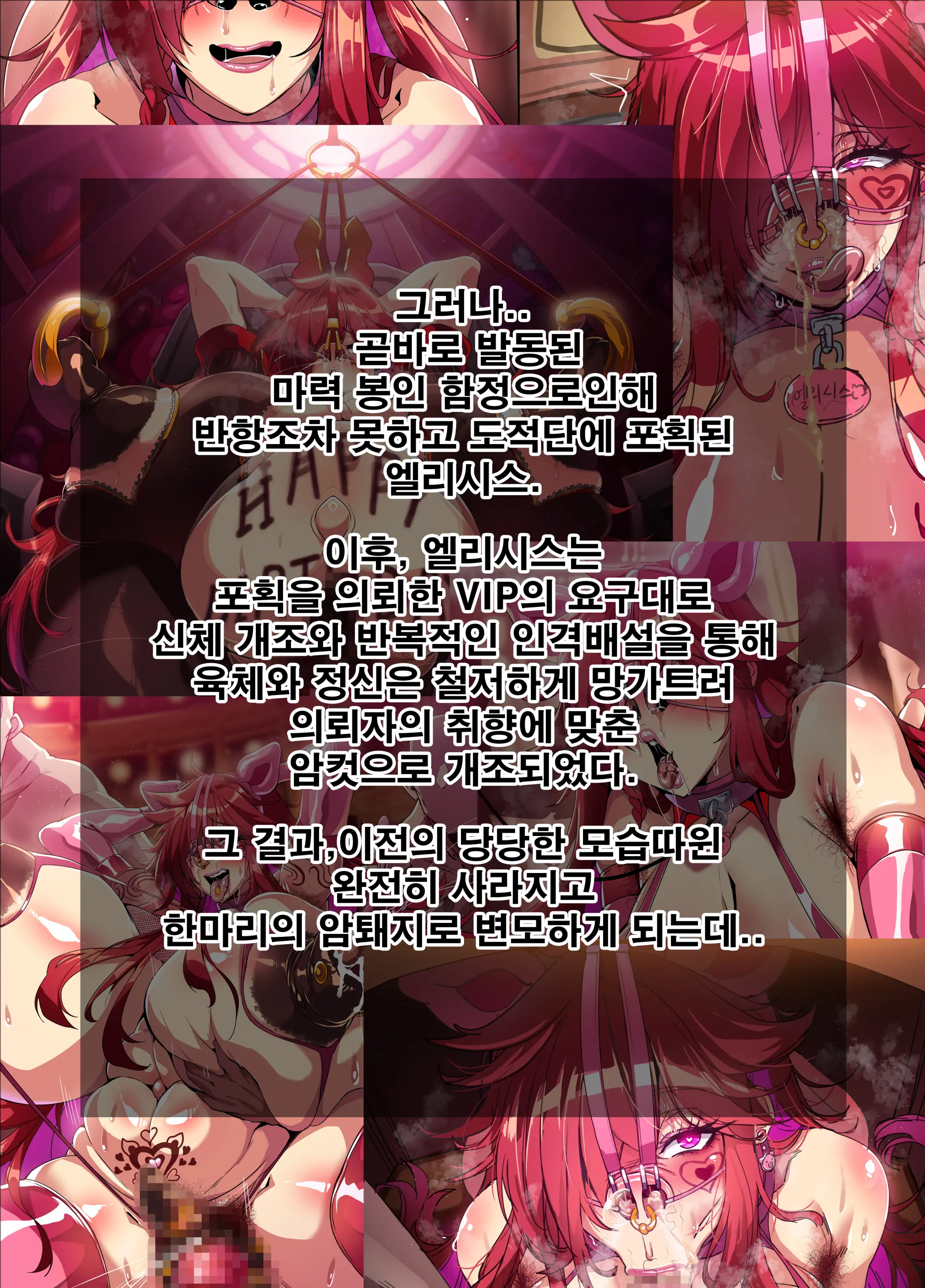 ELSWORD Series <1#Elesis F Lord>